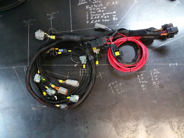 2RZ/3RZ Complete Harness Haltech Elite 750 ECU for year range '9